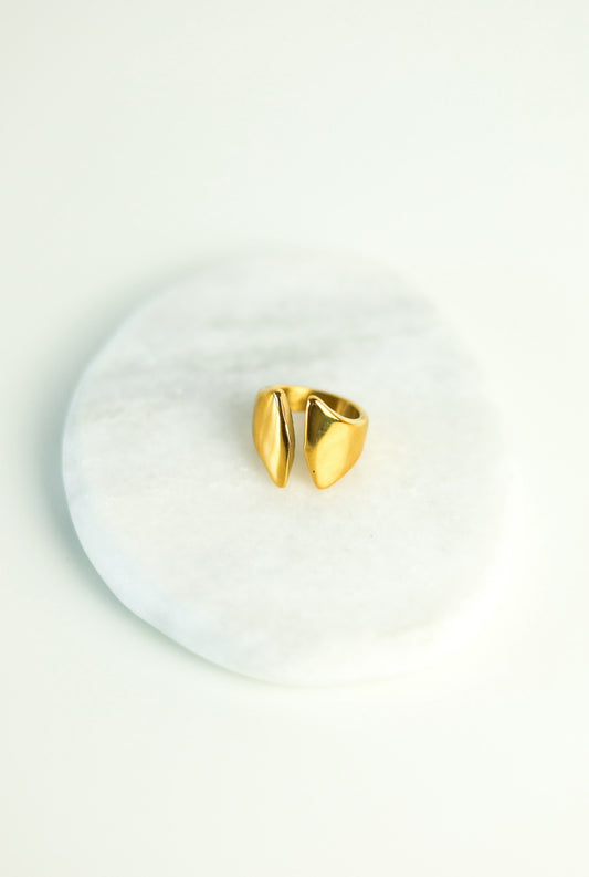 ANILLO ROMA